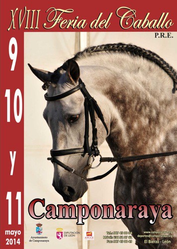 panfleto caballos 2014