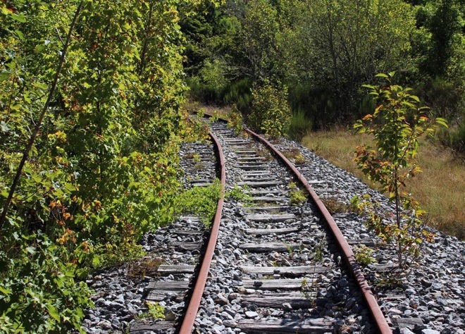 stado actual del ramal de Villaseca de Laciana, cuya construcción se inició en 1919 para transportar el carbón de la MSP (Ical)