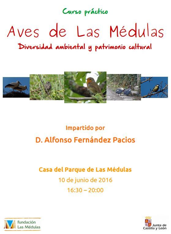 Cartel del curso de aves 