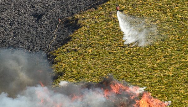 Incendio Bouzas QUINITO