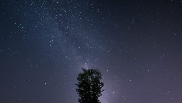 Cielo estrellado. / EBD