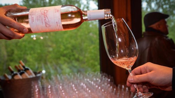 Presentación de la añada 2018 del Godello y Rosado Gancedo