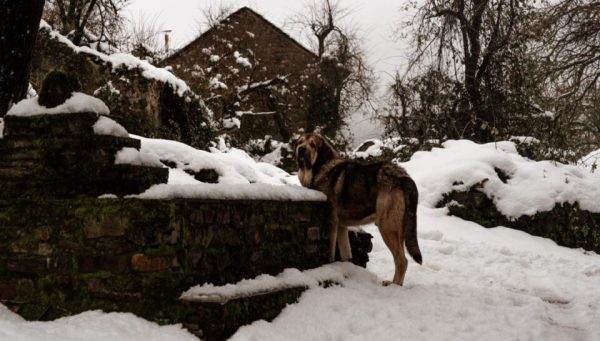 Avisos por nieve