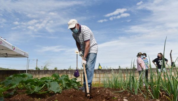 Alumnos del curso de agricultura del Banco de Tierras. / QUINITO