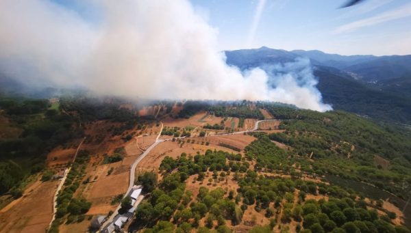 Incendio forestal en Trabadelo. / @BrifTabuyo