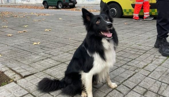 Hombre desaparecido en Ponferrada