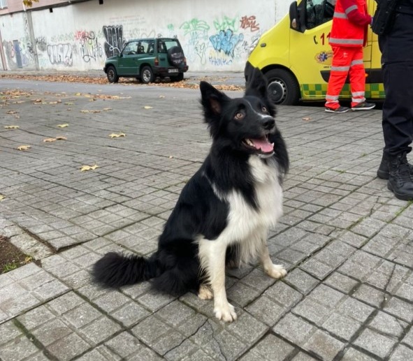 Hombre desaparecido en Ponferrada