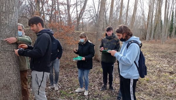 Alumnos del CIFP Almázcara estimando volumen de madera de chopo con la aplicación Chopo4D