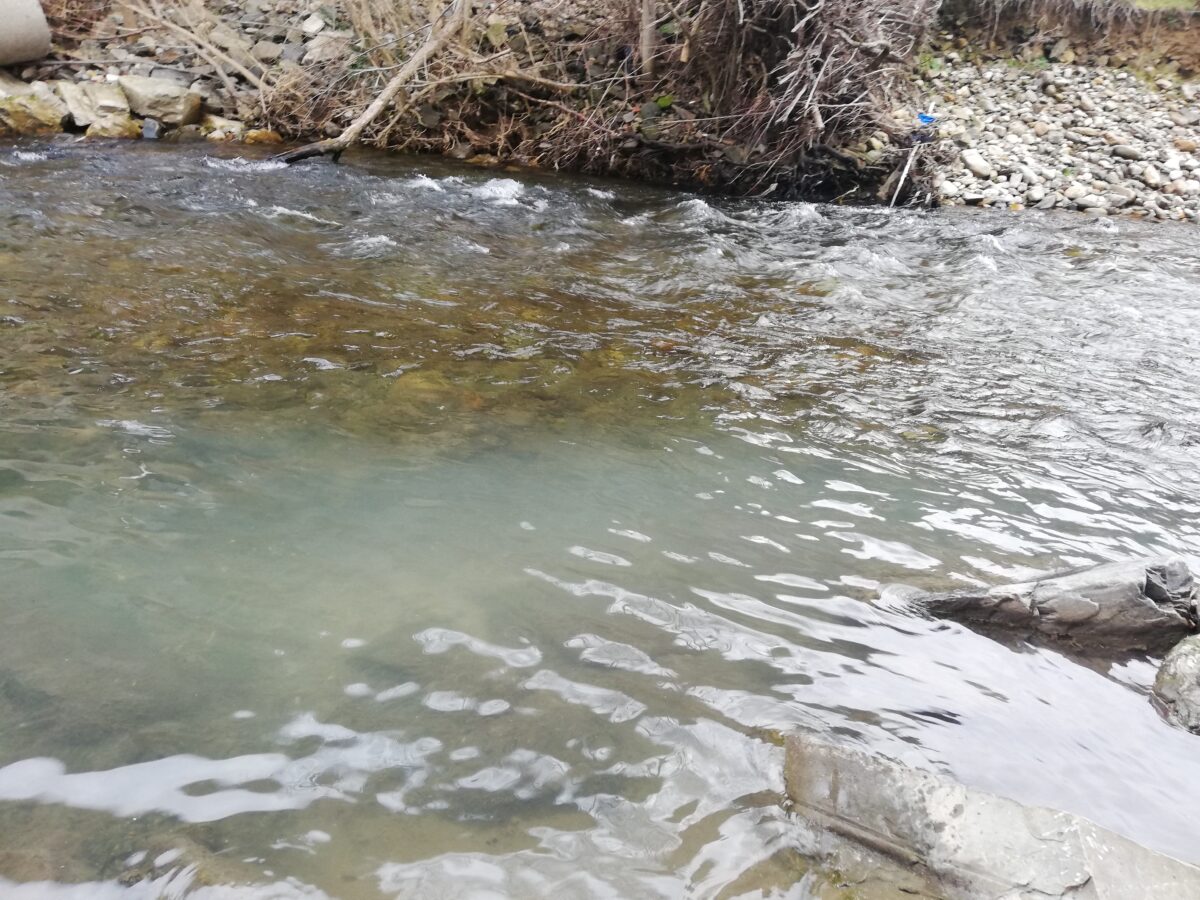 Aguas residuales en el río Burbia / EBD