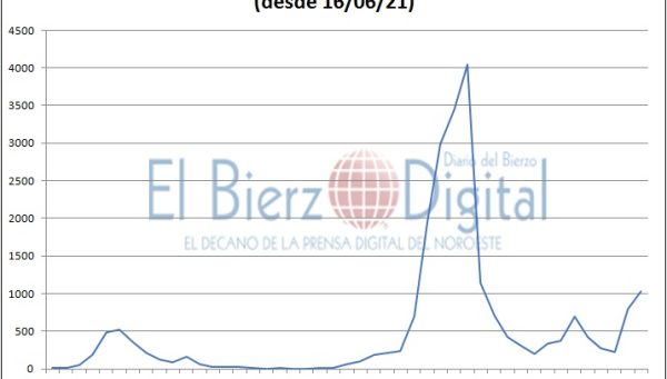 Positivos covid-19 Bierzo