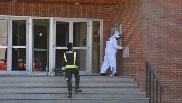 Los bomberos retiraron un nido de avispas en la Biblioteca de Ponferrada