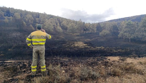 Incendio en la Sierra de la Culebra