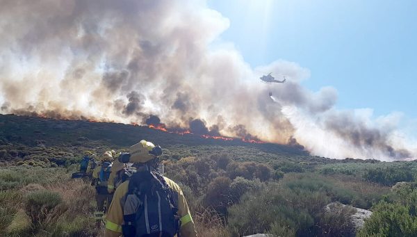 incendios forestales