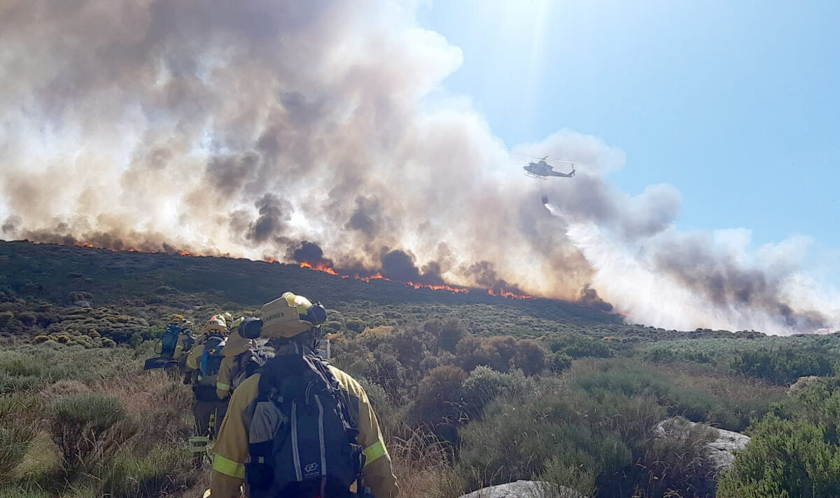 incendios forestales