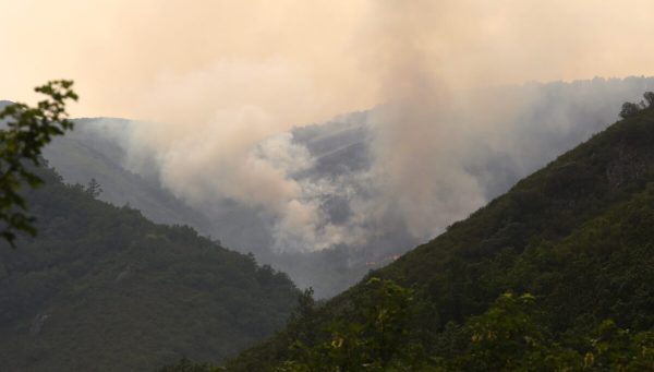 Incendio forestal en Paradaseca