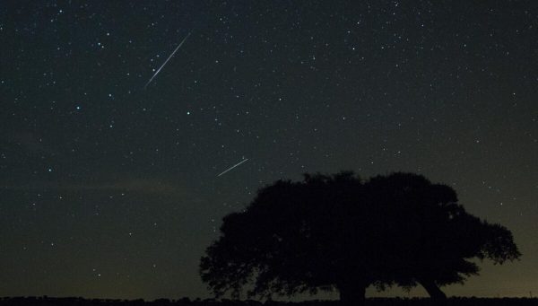 Lluvia de perseidas sobre un campo de Salamanca