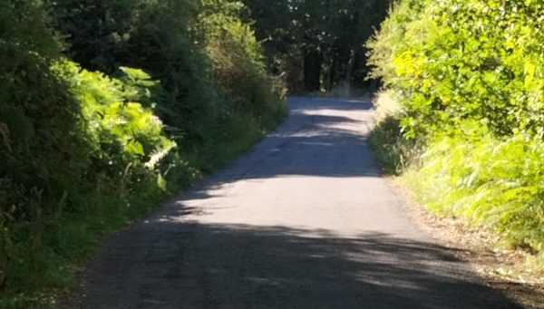 Carretera de Burbia