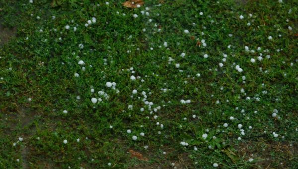 Granizo en el Bierzo