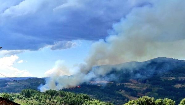 Incendio forestal en Vega de Espinareda