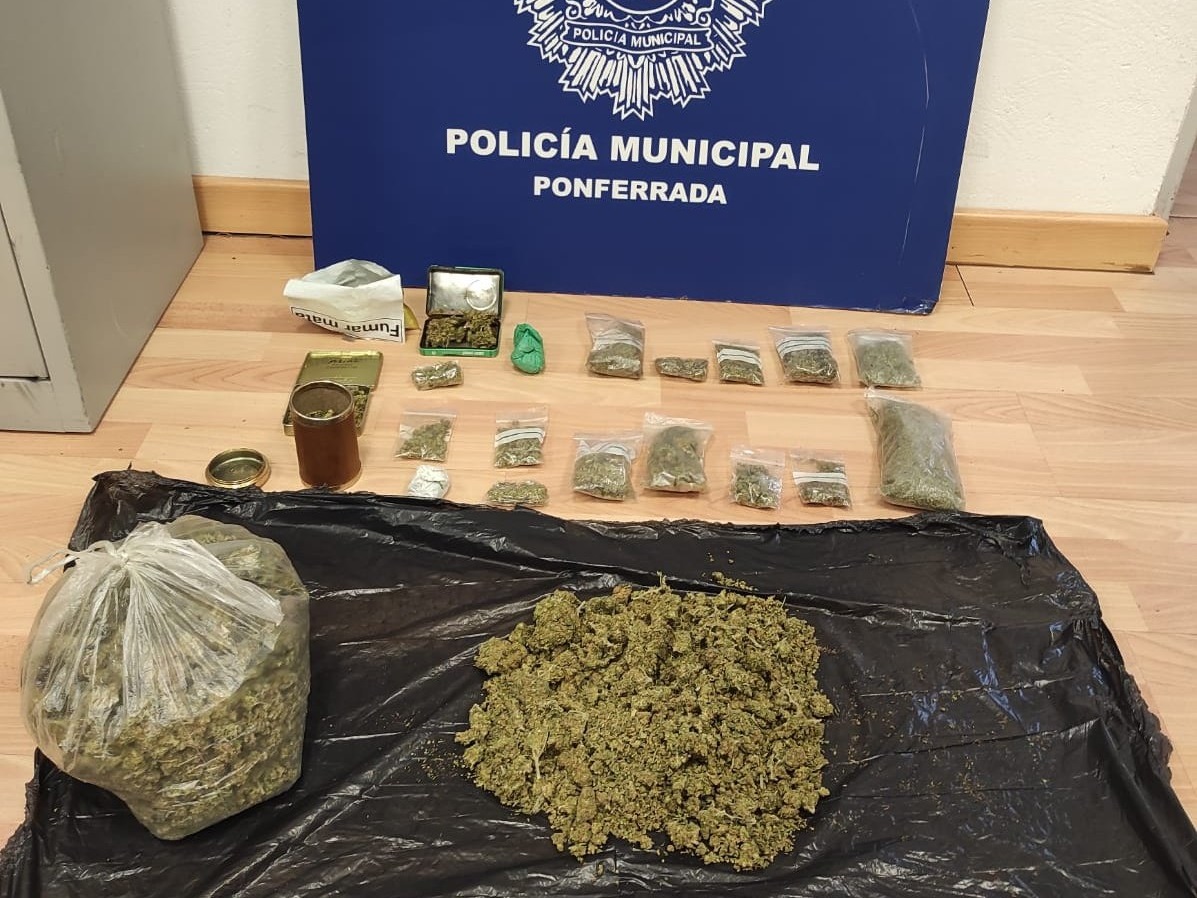 Marihuana incautada por la Policía Municipal de Ponferrada