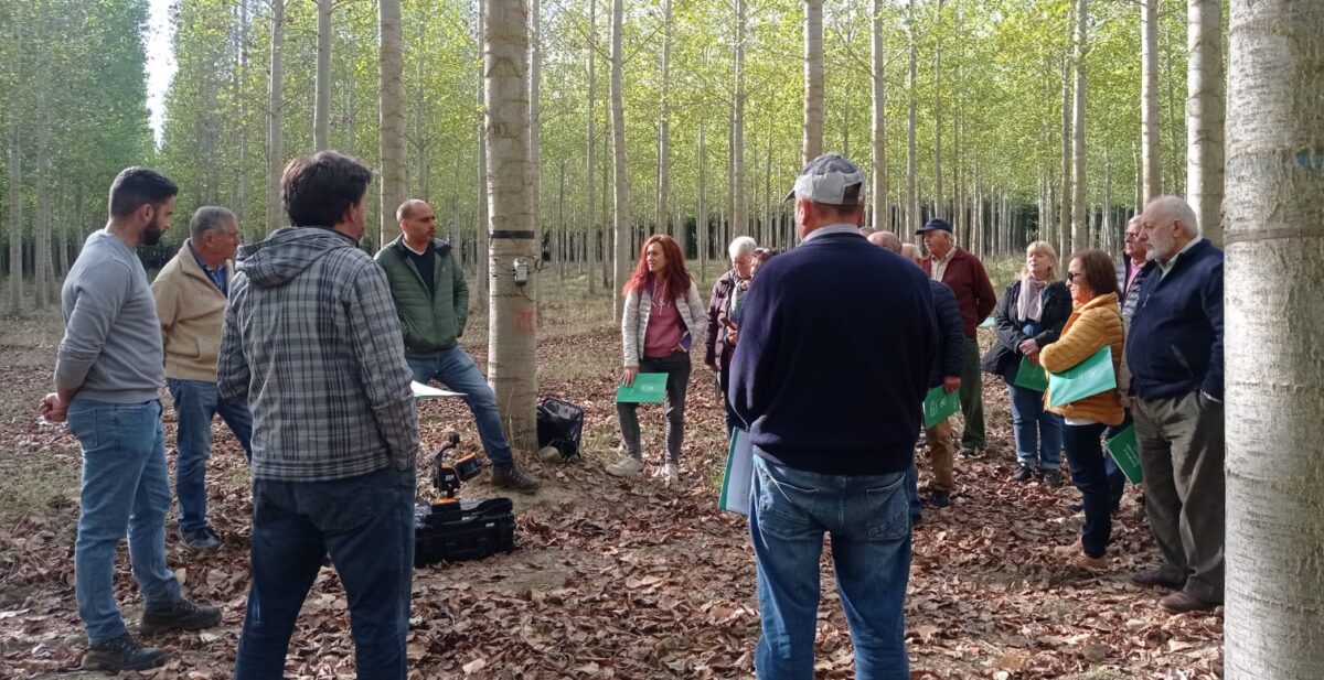 Investigadores del Campus de Ponferrada