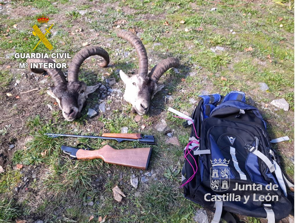 Efectos decomisados al presunto cazador furtivo en la reserva de los Ancares