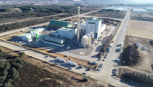 Planta de Forestalia en Cubillos del Sil