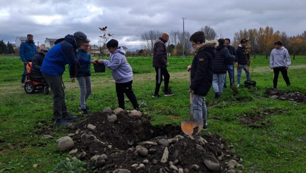 Ambi celebró su 25 aniversario plantando árboles en Cacabelos