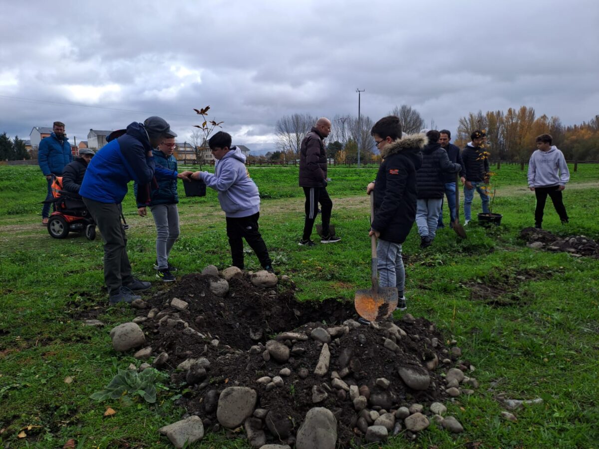 Ambi celebró su 25 aniversario plantando árboles en Cacabelos