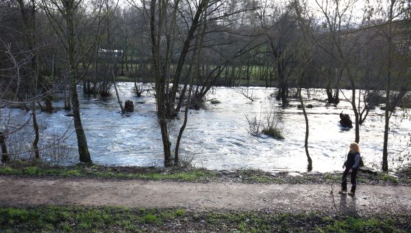 Crecida del caudal del río Sil a su paso por Ponferrada debido a las últimas precipitaciones