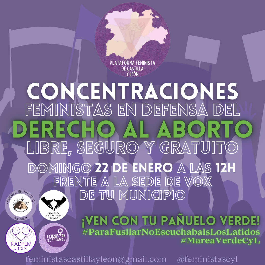 Cartel de la concentración. / La Plataforma Feminista de Castilla y León