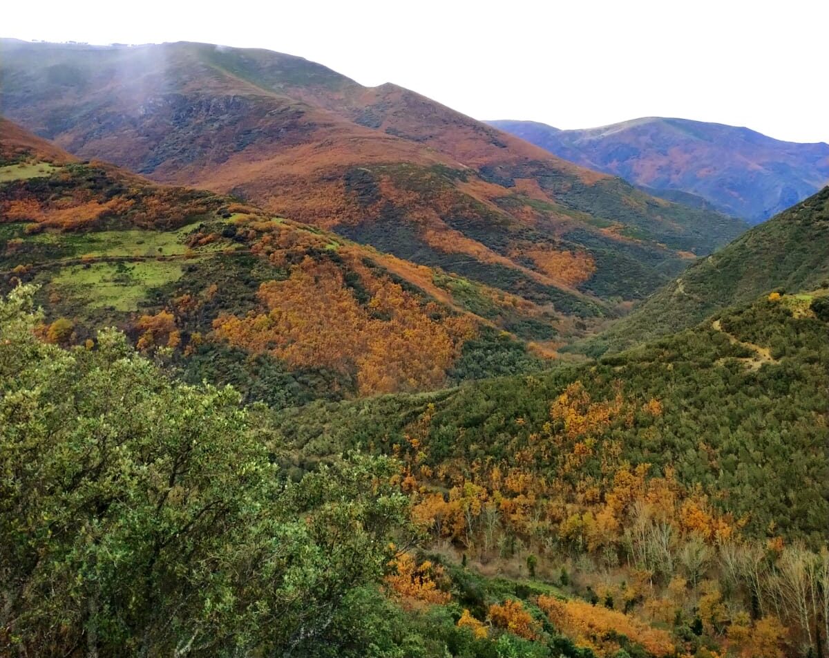 Montes de La Cabrera.