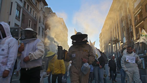 Manifestación en León por una apicultura sostenible y rentable