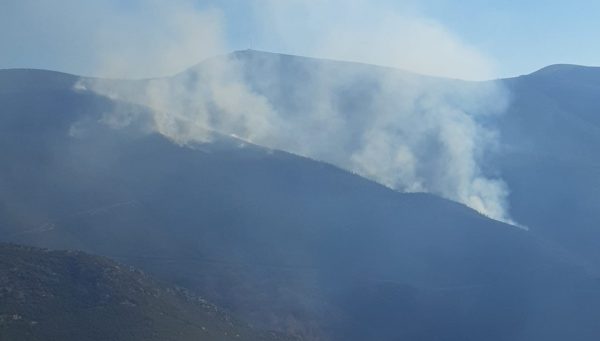 Incendio en Villarrubín (Oencia). / @naturalezacyl