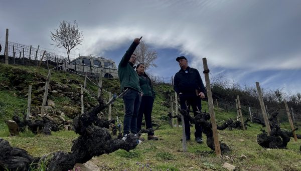 Michael Franz, durante su visita a uno de los viñedos del Bierzo