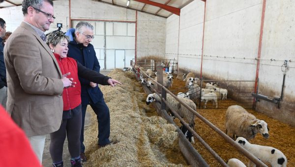 El consejero de Agricultura, Ganadería y Desarrollo Rural, Gerardo Dueñas, durante una visita a una explotación ganadera