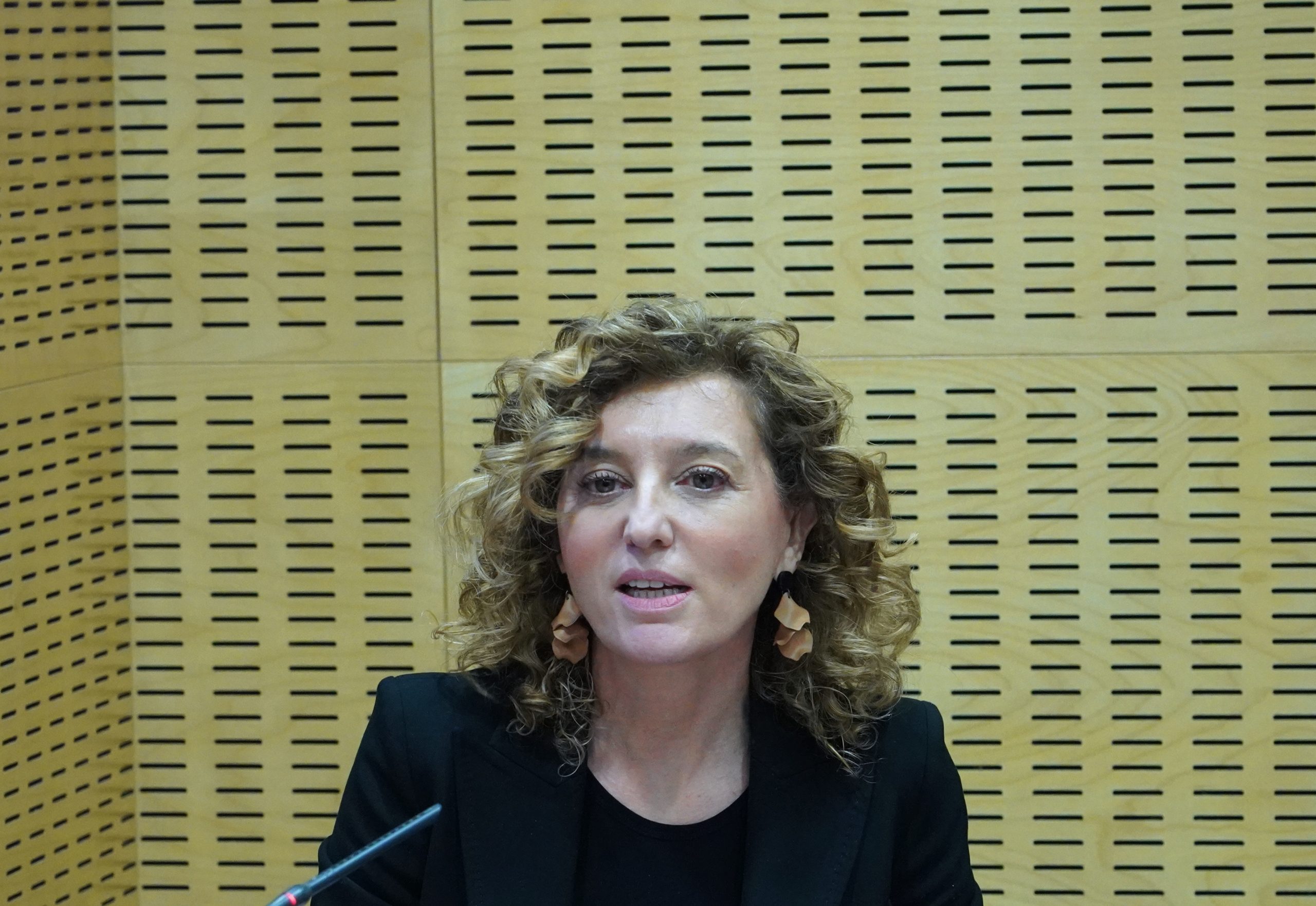 La directora general de Vivienda, Arquitectura, Ordenación del Territorio y Urbanismo, María Pardo, informa en rueda de prensa sobre las ayudas en materia de vivienda. / ICAL