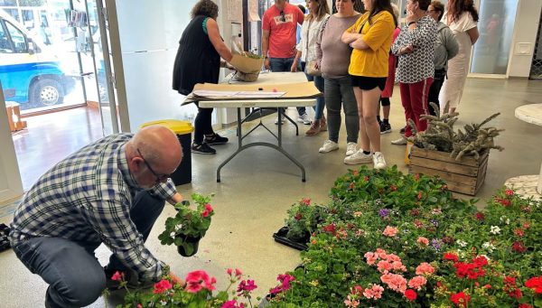 Entrega de las plantas del proyecto 'Flores no Camiño' en O Barco de Valdeorras