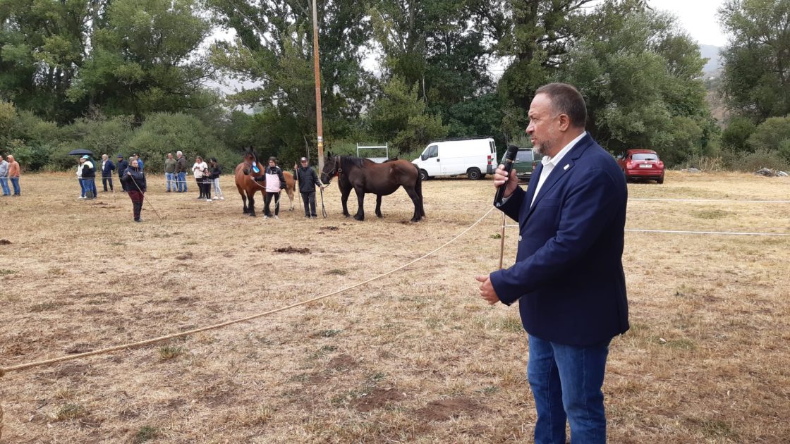 El presidente de la Diputación de León, Gerardo Álvarez Courel, asiste al XXXIII Concurso Exposición del Caballo Hispano Bretón