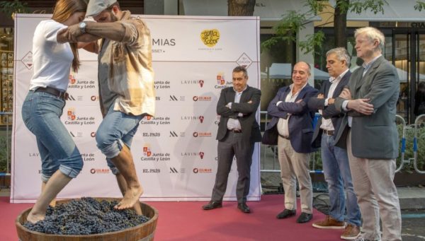 La Fiesta de la Vendimia de la Milla de Oro madrileña organizada por Lavinia, en colaboración con la asociación de comerciantes Madrid Luxury District, en la que participan 56 bodegas de Castilla y León