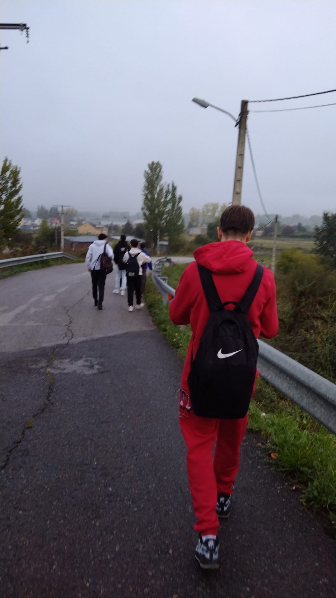 Alumnos del IES Fuentesnuevas van andando al instituto desde Cuatrovientos después de que no llegara el autobús que les recoge. / EBD