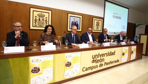 El director de la Escuela de Ingeniería Agraria y Forestal de la Universidad de León, Luis Herráez, el presidente de la Diputación Provincial de León, Gerardo Álvarez Courel, la jefa del Servicio Territorial de Medio Ambiente, Isabel García Álvarez, y el director de la Mesa del Castaño de El Bierzo, Pablo Linares, durante la inauguración de las Jornadas Internacionales Científico-Técnicas de Biocastanea 2023. / César Sánchez