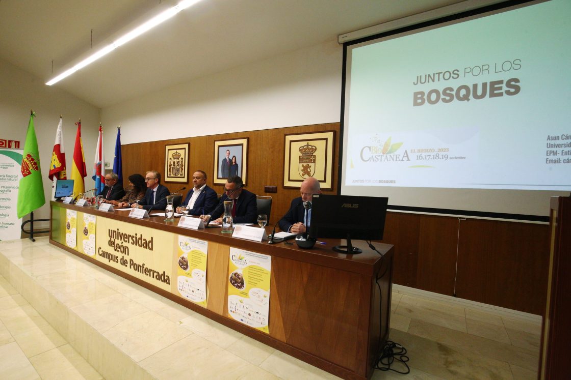 El director de la Escuela de Ingeniería Agraria y Forestal de la Universidad de León, Luis Herráez, el presidente de la Diputación Provincial de León, Gerardo Álvarez Courel, la jefa del Servicio Territorial de Medio Ambiente, Isabel García Álvarez, y el director de la Mesa del Castaño de El Bierzo, Pablo Linares, durante la inauguración de las Jornadas Internacionales Científico-Técnicas de Biocastanea 2023. / César Sánchez