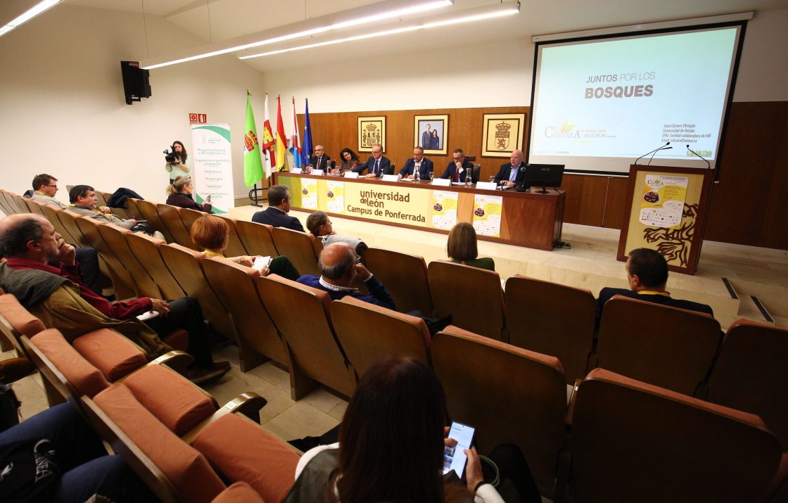 El director de la Escuela de Ingeniería Agraria y Forestal de la Universidad de León, Luis Herráez, el presidente de la Diputación Provincial de León, Gerardo Álvarez Courel, la jefa del Servicio Territorial de Medio Ambiente, Isabel García Álvarez, y el director de la Mesa del Castaño de El Bierzo, Pablo Linares, durante la inauguración de las Jornadas Internacionales Científico-Técnicas de Biocastanea 2023. / César Sánchez