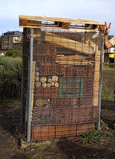 El nuevo 'hotel de insectos' de Cacabelos, casi terminado