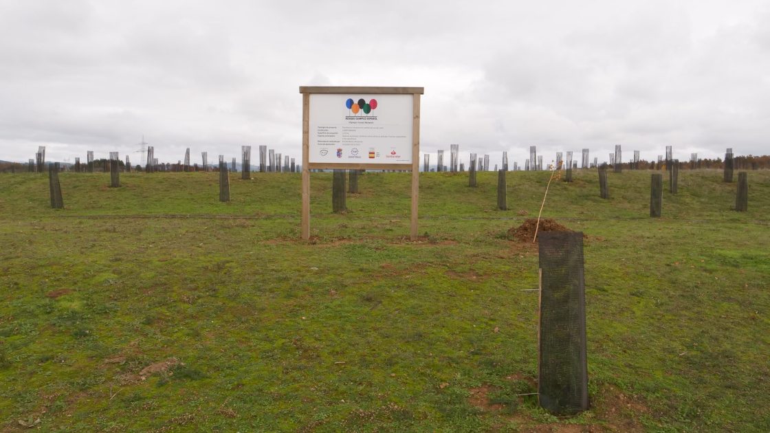 Inauguración del Bosque Olímpico Español de Camponaraya. / Ayuntamiento de Camponaraya