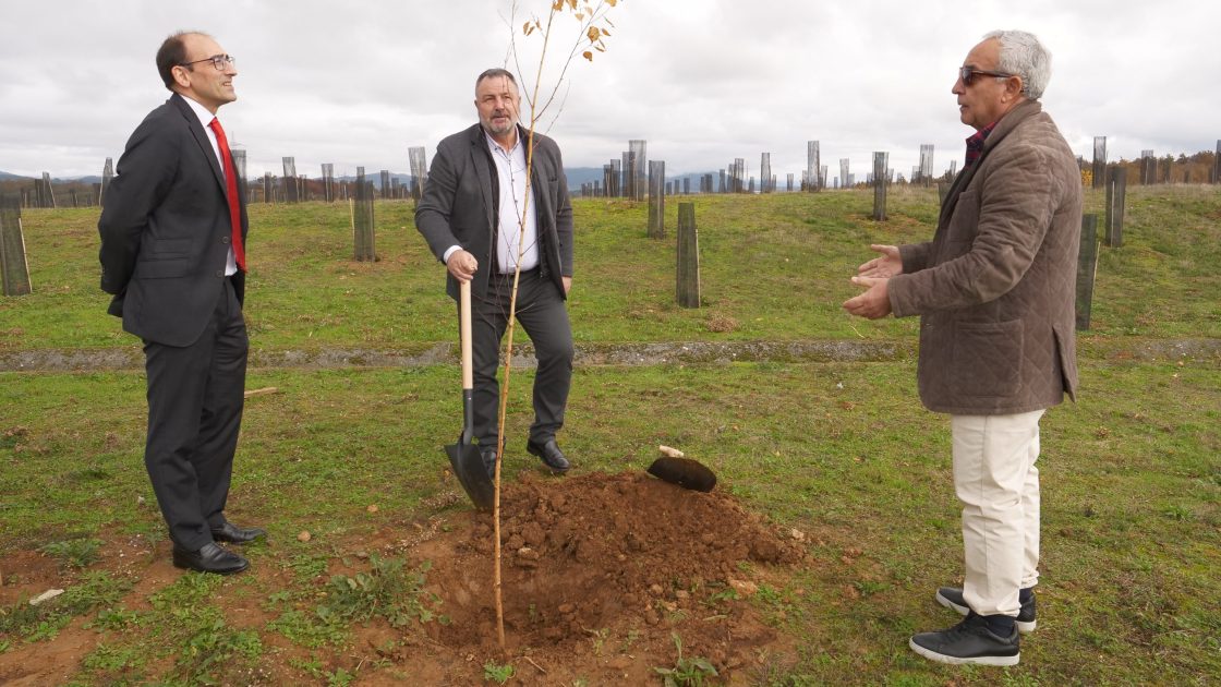 Inauguración del Bosque Olímpico Español de Camponaraya. / Ayuntamiento de Camponaraya