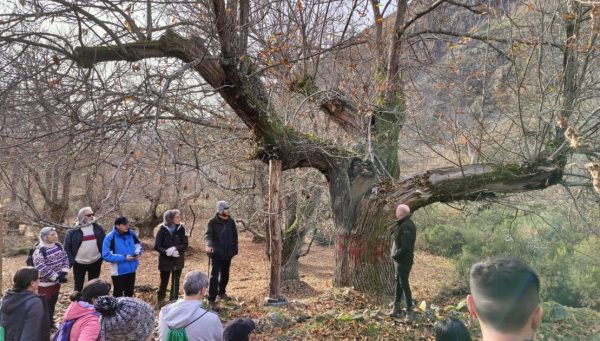 Ruta por la Calidad del Castaño del Bierzo