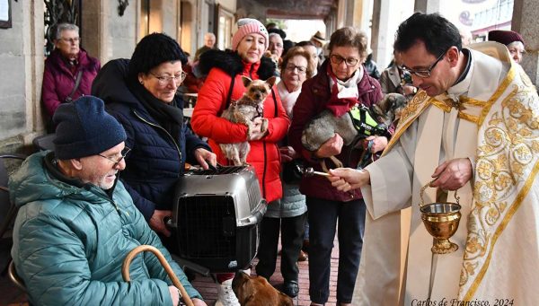 Bendición de los animales en Cacabelos en el día de San Antón