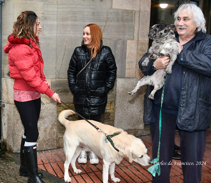 Bendición de los animales en Cacabelos en el día de San Antón